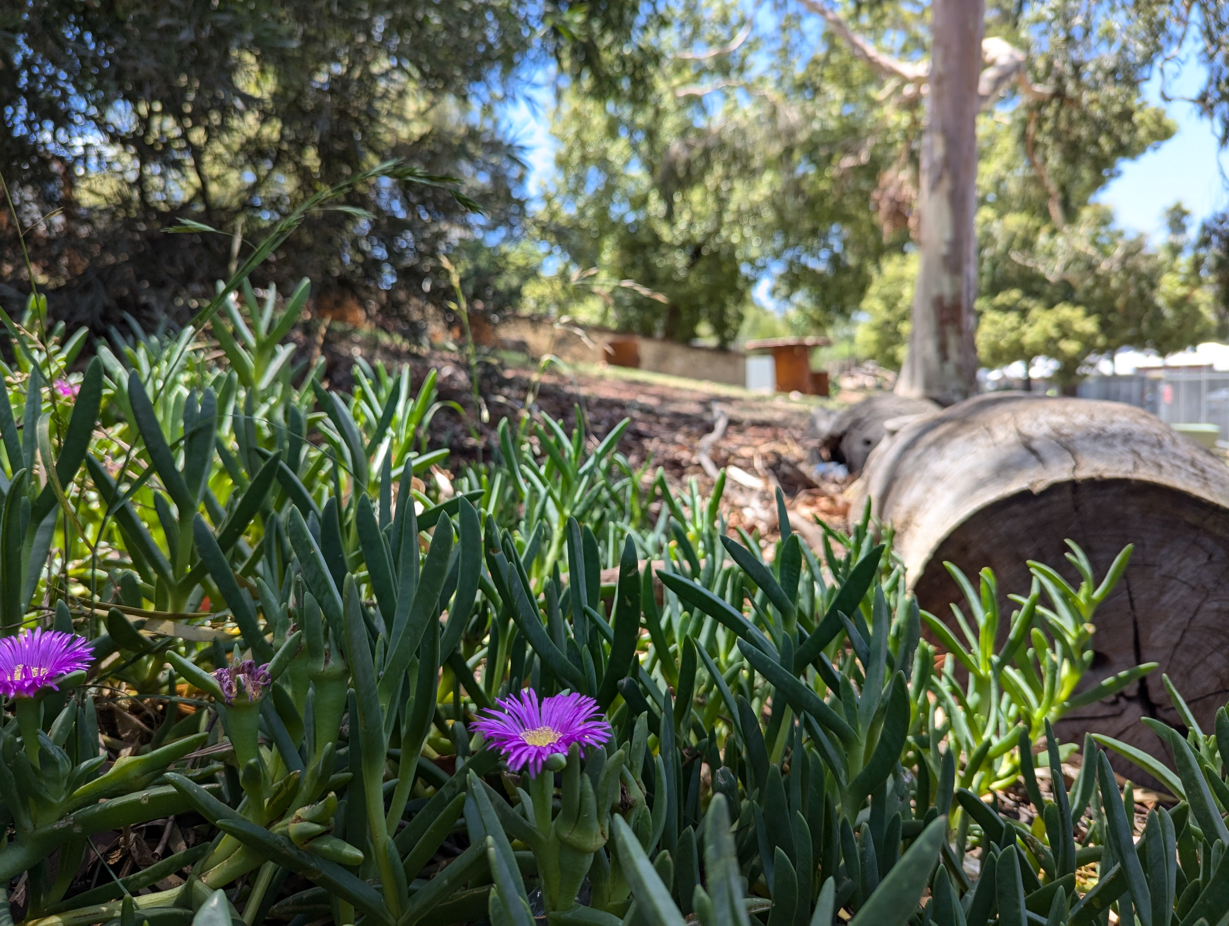 Outdoor Classroom